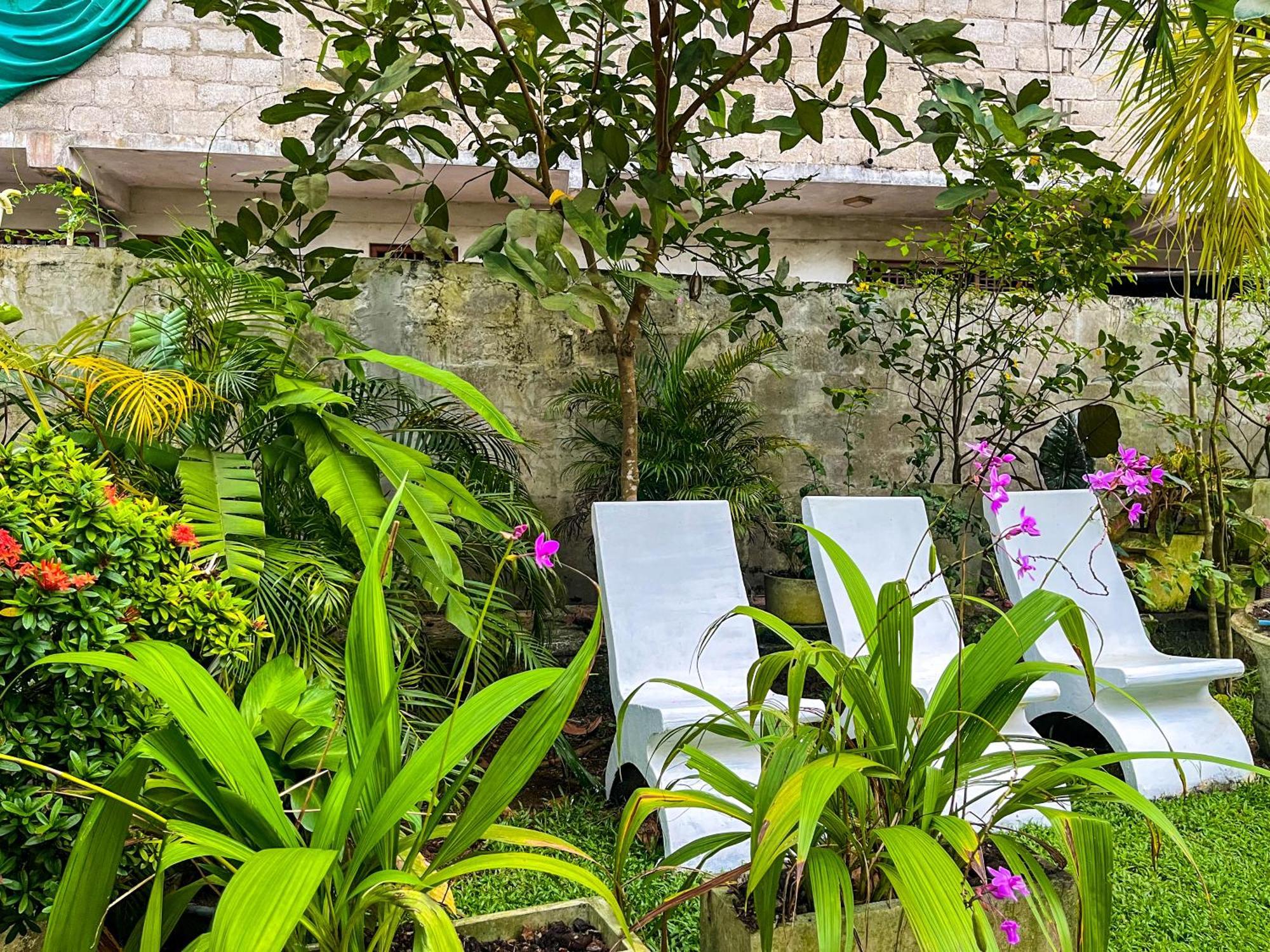 Galle Camellia 외부 사진